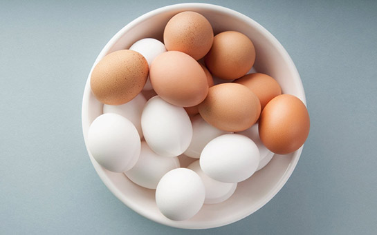 Yumurta Protein